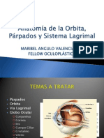 Anatomía de La Orbita, Párpados y Sistema Lagrimal