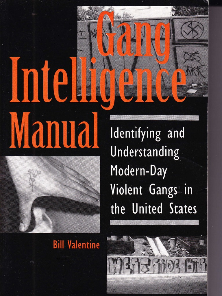 Gang IntellIgence Manual PDF Gang Criminal Subcultures picture pic