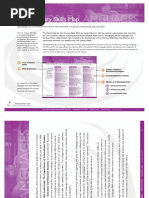 21st Century Skills Map: Designed in Cooperation With The Nation'S World Language Educ Ators