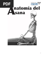 Manual Anatomia