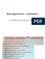 Biomagnetismo - Herbolaria