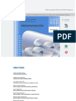 Técnico en Programacion 2011 PDF