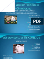 Enfermedades Conejos