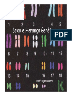 Sexo_e_Herança_Genética