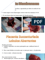 Placenta Membranacea