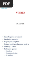Download Vibrio by drparachuru SN176440842 doc pdf
