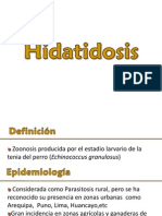 Tratamiento Hidatidosis