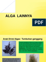 Alga Multiseluler