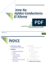 Tema 4a Conductores - Xilema