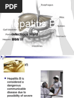 Download Hepatitis B2 by marbey31 SN17647372 doc pdf