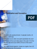 Fertilization and Conception