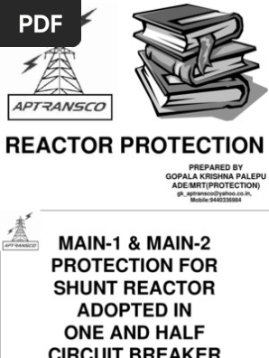 Reactor Protection