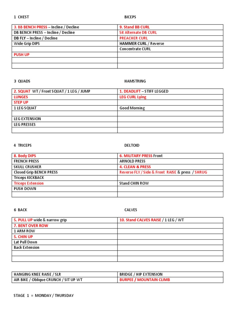Full Body Workout Routine Guide | PDF | History