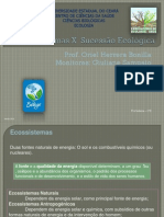 Aula 08 Ecossistemas X Sucessao Ecologica