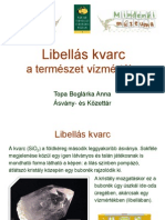 Libellas_TopaBA.pdf