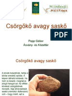 Csorgoko_PappG.pdf