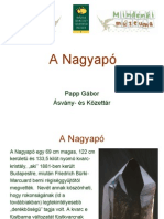 Nagyapo_PappG.pdf