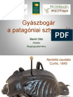 GyaszPat_MerklO.pdf