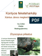 Harkaly_VasZ.pdf