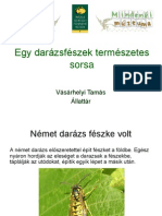 Darazsfeszek2_VasarhelyiT.pdf