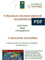 Belzebub_GorfolT.pdf