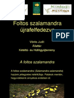 Szalamandra_VorosJ.pdf