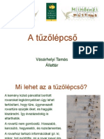 Tuzolepcso_VasarhelyiT.pdf