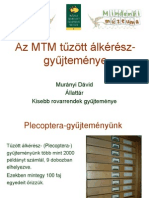 Tuzott MuranyiD PDF