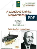 Szegfutrinka_SzelGy.pdf