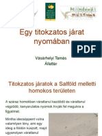 Hangyaleso_VasarhelyiT.pdf
