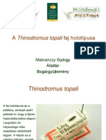 Thinodromus_MakranczyGy.pdf