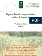 Nyomolvasas_VasarhelyiT.pdf