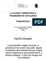 Feneketlen VasarhelyiT PDF