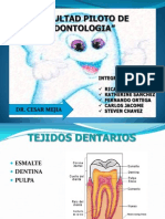 dentina esmalte pulpa (1)