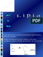 Lipida, Protein Rev