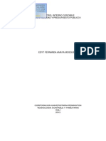 Trabajo Resumen Control Interno PDF