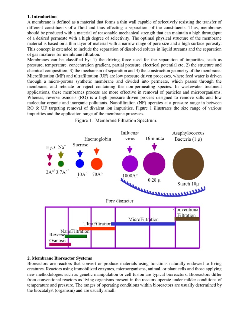 Aeration System in Bioreactor Membrane Sewage Treatment