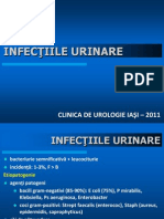 Infectiile urinare