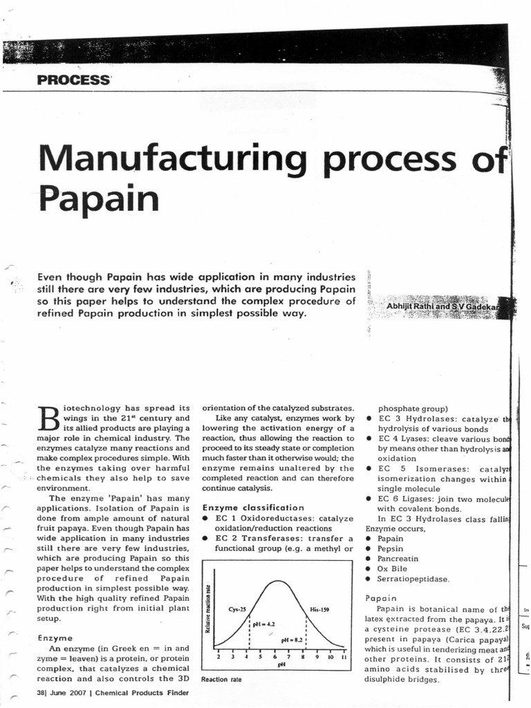 Papain Manufacturing Process Explained | PDF | Catalysis | Enzyme