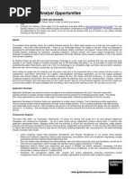2014 TechnologySummer Analyst Job Description