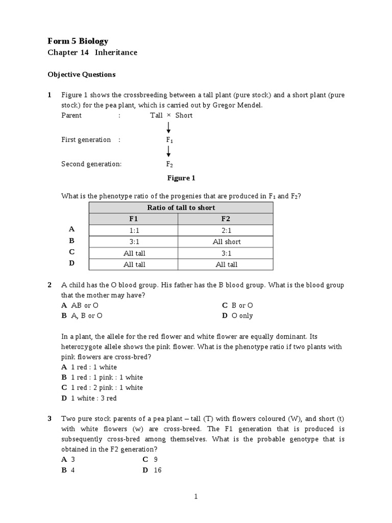 Exercise On Inheritance Pdf Zygosity Dominance Genetics