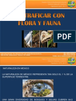 No Traficar Con Flora y Fauna