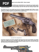 nangant pistol history