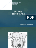 tumori testiculare