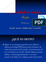 skype-091128235704-phpapp02