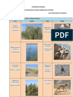 Listado de Flora y Fauna Presente en Sistemas Dunares (Julio César)
