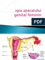 LP05 Genital Feminin 