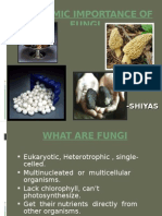 Edible Fungi-Mushroom and Nutraceuticals