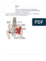 Lateral Rotator Group: From Wikipedia, The Free Encyclopedia