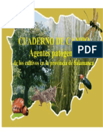 Cuaderno de Campo Agentes Patogenos 2006